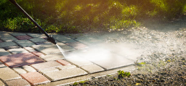 Best Fence Cleaning and Maintenance in Hustisford, WI